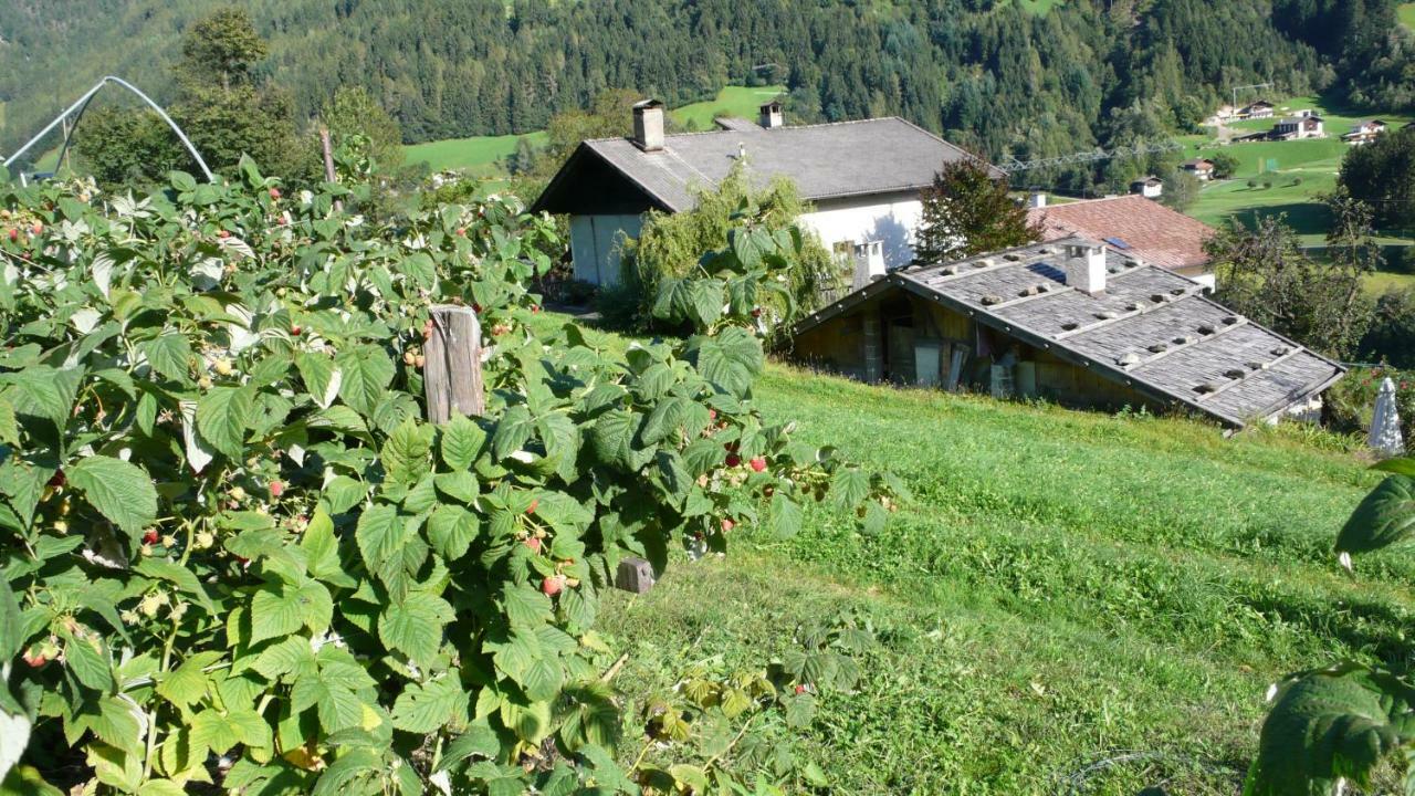 Obergereuth Hof 1288 Daire San Martino In Passiria  Dış mekan fotoğraf