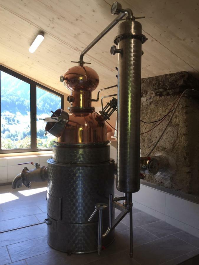 Obergereuth Hof 1288 Daire San Martino In Passiria  Dış mekan fotoğraf