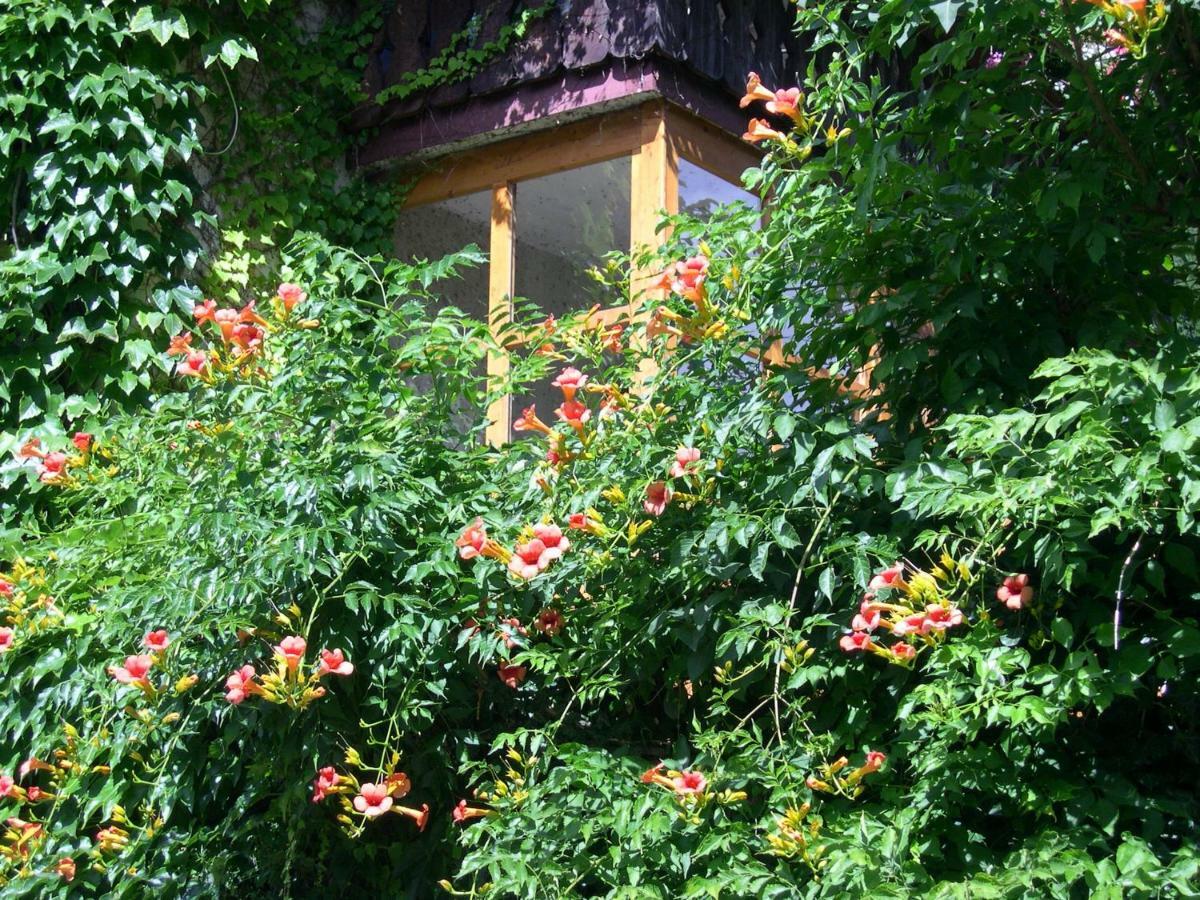 Obergereuth Hof 1288 Daire San Martino In Passiria  Dış mekan fotoğraf